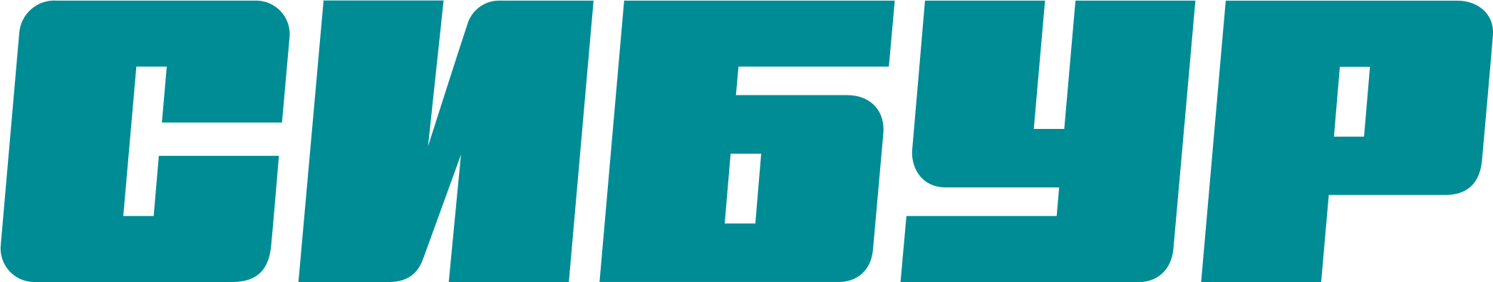 СИБУР Холдинг